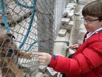 Karşıyaka Belediyesi sokak hayvanlarına aile buluyor...