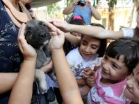 Karşıyaka, can dostlara sahip çıktı