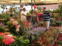 Karşıyaka Çiçek Festivali başladı...