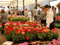 Karşıyaka Çiçek Festivali için geri sayım başladı