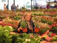 Karşıyaka Çiçek Festivali için geri sayım başladı