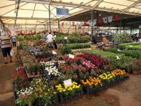 Karşıyaka Çiçek Festivali üreticilerin yüzünü güldürdü