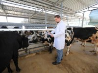 Karşıyaka Kurban Bayramı’na hazır