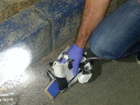 Karşıyaka-Şanlıurfaspor maçı öncesi bomba paniği!..