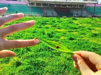 Karşıyaka Stadı'nda inşaat başlıyor...