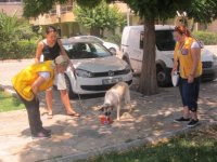 Karşıyaka Yalı Lions Kulübü'nden sokak hayvanlarına yardım