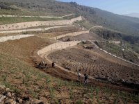 Karşıyaka yeşile bürünüyor