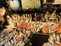 KARŞIYAKA'DA BALIK FİYATLARI ALDI BAŞINI GİDİYOR...