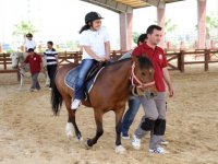 Karşıyaka'da can dostlara 5 yıldızlı hizmet