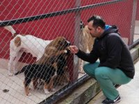 Karşıyaka'da can dostlara 5 yıldızlı yuva