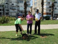 Karşıyaka'da can dostlara veteriner zabıtası