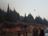 Karşıyaka'da çıkan orman yangını sabotaj mı?