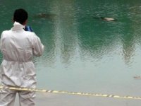 Karşıyaka'da denizde ceset bulundu...