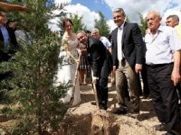 KARŞIYAKA'DA FİDAN DİKMEYENE RUHSAT VERİLMEYECEK...