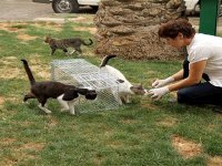 Karşıyaka'da can dostlar yalnız değil