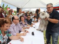 Karşıyaka'da hayvanseverler PatiFest’te buluşacak