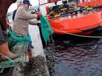 Karşıyaka'da kanunsuz midye avcılığı yapanlara 90bin lira ceza