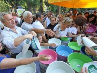 Karşıyaka'da sokak hayvanlarına yardım eli