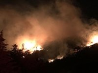 Karşıyaka'da yine orman yangını...