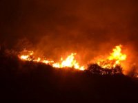 Karşıyaka'daki orman yangını söndürüldü...