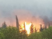 Karşıyaka'daki orman yangını söndürüldü...