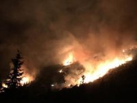 Karşıyaka'daki yangında 15 dekarlık alan zarar gördü