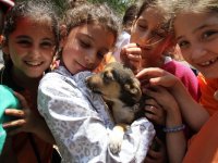 Karşıyakalılar can dostlara sahip çıktı 