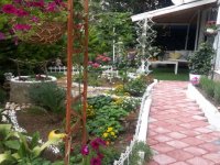 Karşıyaka'nın en güzel balkon ve bahçeleri seçiliyor