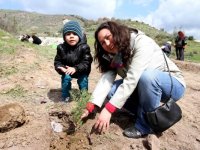 Karşıyaka'ya 500 zeytin fidanı dikilecek