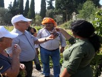 Kavacık Üzüm Festivali başlıyor