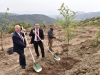 Kayadibi’nde fidanlar toprakla buluştu