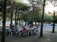 Kent AŞ 80. Yıl Çayevi hizmete girdi