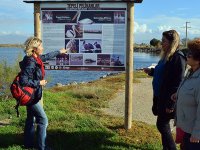 Kent turlarında ''güz etabı'' başlıyor