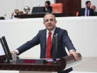 Kerem Ali Sürekli'den TBMM'de stat çağrısı