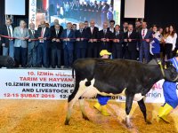 Kocaoğlu: 2015 yılı İzmir tarımında çok farklı olacak