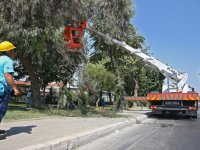 Konak’ın parkları emin ellerde