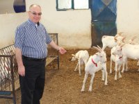 Koyun-Keçi sütünde rekor fiyat