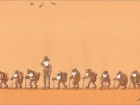 Kuş Cenneti için 240 karikatürist 425 eserle yarıştı