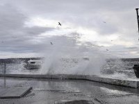Lodos tüm vapur seferlerini iptal ettirdi...
