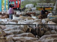 Madenci ailelere ''can suyu'' olacak