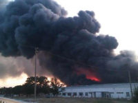 Mandalina Festivali'nde korkutan yangın