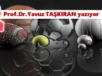 Matematik mi, spor mu?