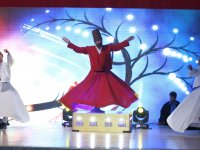 Mevlana Şeb-i Arus'la anıldı