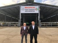 Migros yaptığı alımla yerli besiciyi güçlendiriyor
