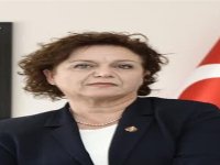 Misket Dikmen'den gözaltılara tepki