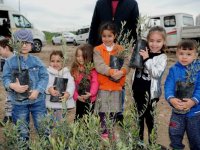 Mustafa Kemal Mahallesi’ne 200 zeytin fidanı