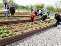 Mutluluk bahçeleri artırılacak