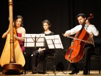 MÜZİKSEV'de arp ve çello buluşması