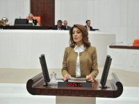 Nesrin Ulema’dan 2015 müjdeleri