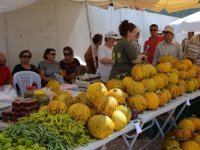 Nohutalan Kavun Festivali başlıyor